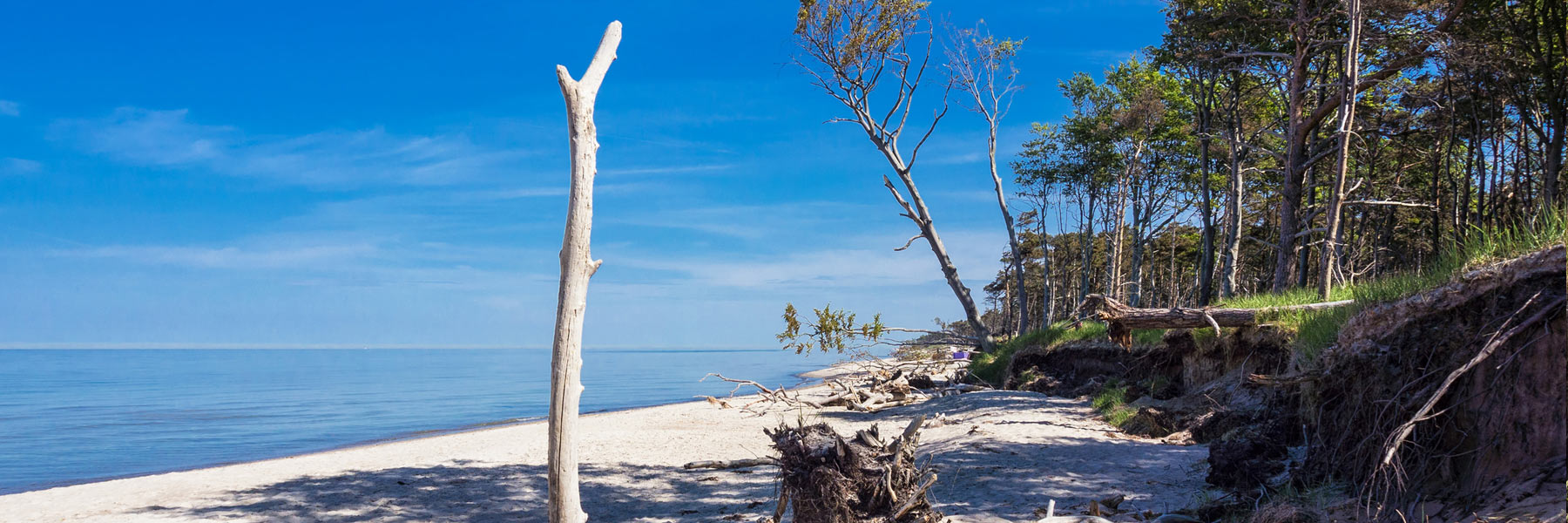 Ferienimmobilien Fischland Darß