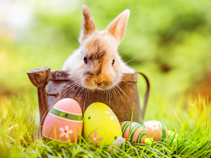 Ostern in Mecklenburg-Vorpommern