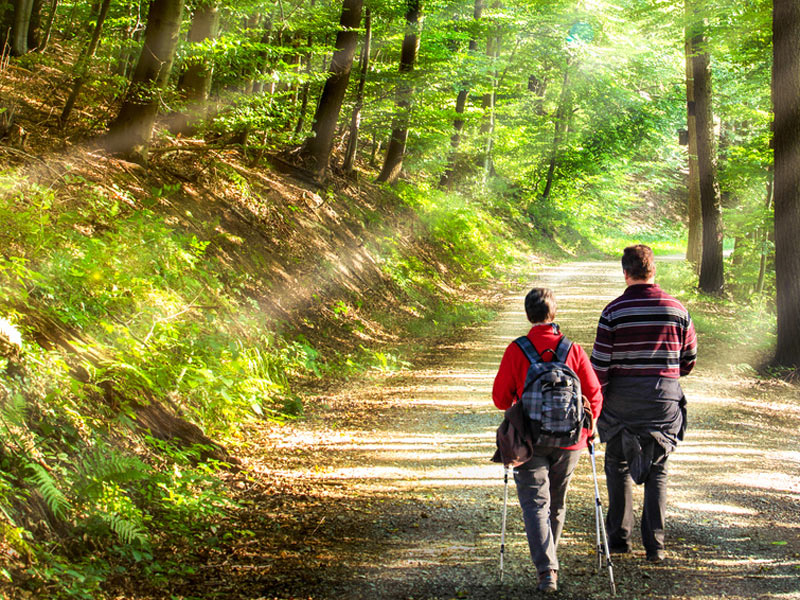 Wandern in Mecklenburg-Vorpommern