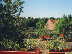 Blick auf unseren Garten Garten